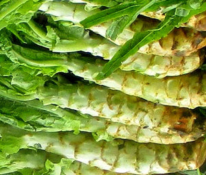 Lettuce Looseleaf Celtuce Non GMO Bulk Seeds - Lactuca Sativa