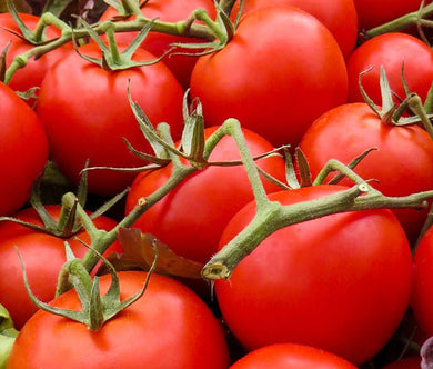 Tomato Large Red Cherry Organic Bulk Seeds - Lycopersicon Esculentum