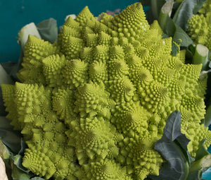 Broccoli Romanesco Organic Seeds - Brassica Oleracea