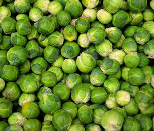 Brussel Sprouts Long Island Non GMO Seeds - Brassica Rapa