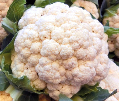 Cauliflower Snow Ball Organic Seeds - Brassica Oleracea