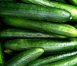 Cucumber Straight Eight Non GMO Bulk Seeds - Cucumis Sativus