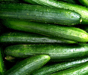 Cucumber Straight Eight Organic Bulk Seeds - Cucumis Sativus
