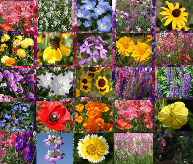 Wildflower Mix Early Bird Seeds