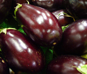 Eggplant Black Beauty Non GMO Bulk Seeds - Solanum Melongena
