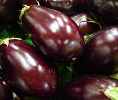 Eggplant Black Beauty Non GMO Seeds - Solanum Melongena