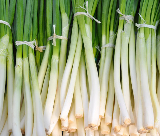 Onion Bunching He Shi Ko Organic Seeds - Allium Cepa
