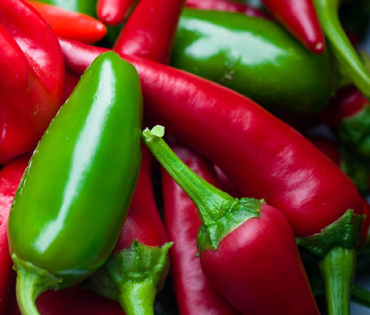 Pepper Hot Early Jalapeno Non GMO Bulk Seeds - Capsicum Annuum