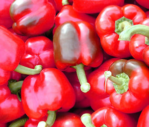 Pepper Pimento Organic Bulk Seeds - Capsicum Annuum
