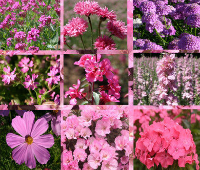 Wildflower Mix Pink Bulk Seeds