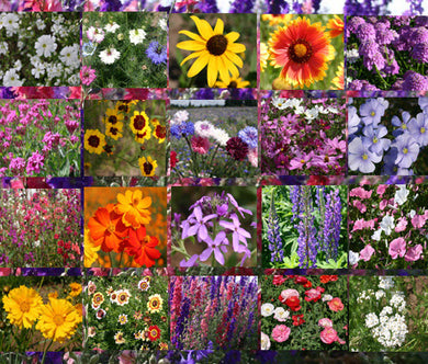 Wildflower Mix Cascade Mountain Tall Seeds