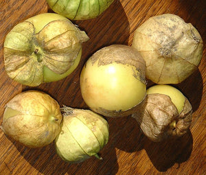 Tomatillo Green Non GMO Seeds - Physalis Philadelphica 2