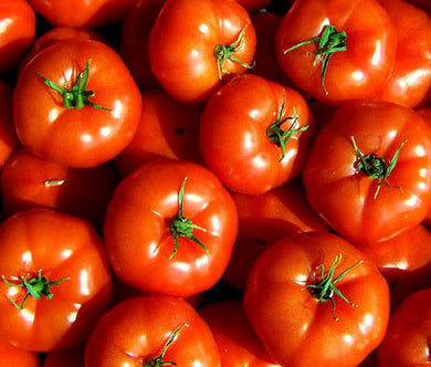 Tomato Marglobe Supreme Non GMO Seeds - Lycopersicon Esculentum