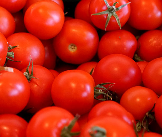 Tomato Small Red Cherry Non GMO Bulk Seeds - Lycopersicon Esculentum
